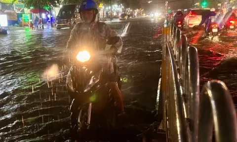 Mưa lớn gần 2 tiếng, nhiều tuyến đường tây TP.HCM ngập sâu, xe chết máy hàng loạt