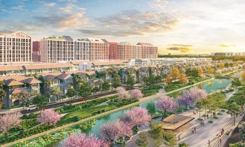 Cư dân Flora Avenue: Sống giữa sắc hoa, sống giữa cân bằng