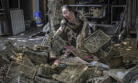 Thái Nguyên sau lụt: Xót xa cảnh tiểu thương trắng tay, phố phường ngập bùn đất