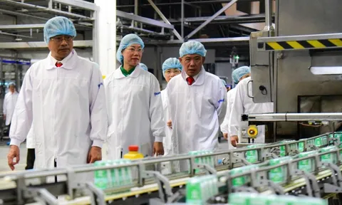 Đoàn đại biểu TP.HCM thăm 'siêu nhà máy' sữa lớn nhất Việt Nam