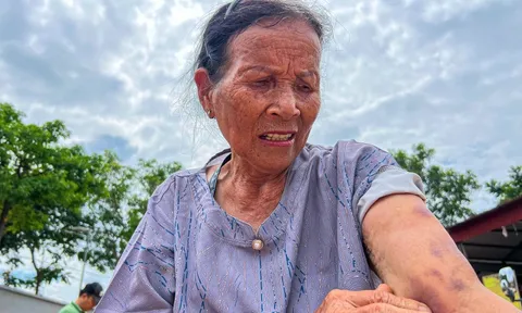 Cụ bà 72 tuổi kể lại cảnh 'sắp chết đuối' vì lũ tràn về lút tới cằm, phải bám cột nhà chờ cứu hộ