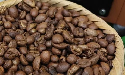 Giá cà phê hôm nay 15-10: Arabica tăng dữ dội