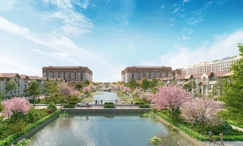 3 lý do Flora Avenue là phân khu có vị trí hấp dẫn bậc nhất Sun Urban City