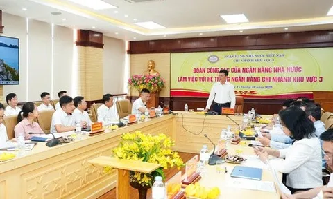 Phó Thống đốc Phạm Thanh Hà làm việc với hệ thống ngân hàng khu vực 3