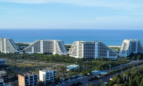 Bamboo Airways, resort FLC Quy Nhơn nợ bảo hiểm hàng chục tỉ đồng