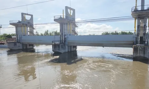 Đóng cống Tha La và một phần cống Trà Sư để bảo vệ lúa thu đông