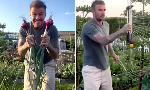 Hết khoe cà rốt, David Beckham khoe hành