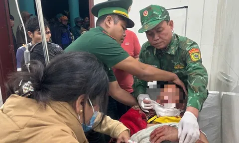 Người đàn ông ở Đà Nẵng bị gấu tấn công trên đường đi làm rẫy về
