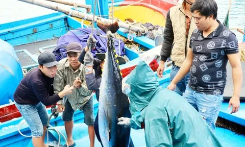 Nhiều doanh nghiệp thủy sản vật lộn trước sức ép từ thị trường Mỹ