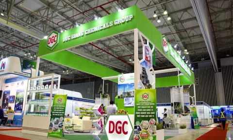 Choáng với lượng tiền 'tươi' của Hóa chất Đức Giang và PVS, lãi ngân hàng cũng vài trăm tỉ