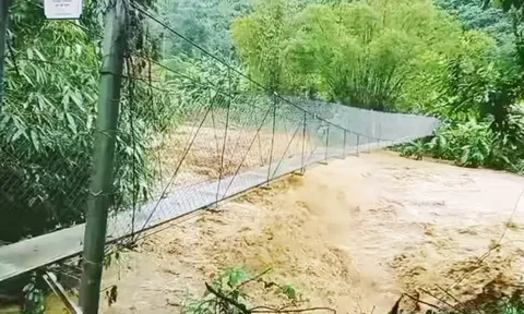 Học sinh lớp 3 bị trượt chân vào cống nước bên đường tử vong