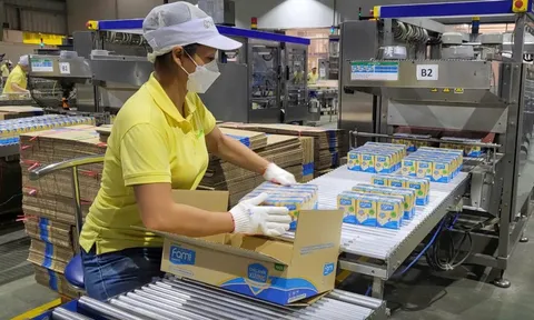 Chủ loạt thương hiệu sữa đậu nành Fami, Mộc Châu Milk, Hanoimilk cùng báo lãi sụt mạnh