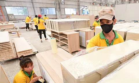 Phải minh bạch chuỗi cung ứng hàng hóa