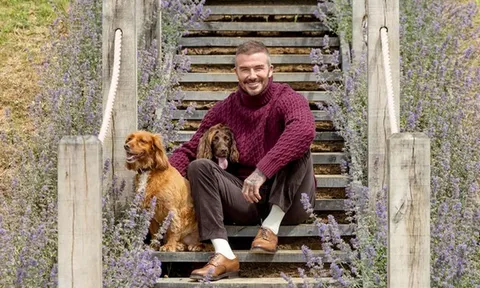 Siêu sao bóng đá lừng danh David Beckham vui thú điền viên