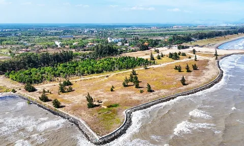 Thu ngân sách TP.HCM bằng 115,5% cùng kỳ, xây mới hơn 12,5 triệu m² sàn nhà ở