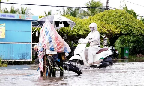 Cà Mau vận hành hơn 300 cống, đập ngăn triều cường rằm tháng 9