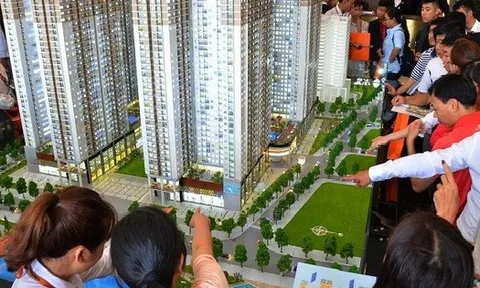 Đề xuất tăng mức xử phạt vi phạm kinh doanh bất động sản