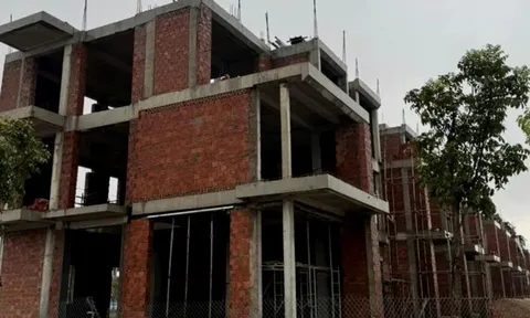 Chánh Thanh tra tỉnh nói gì về những sai phạm tại dự án của Tập đoàn Sơn Hải?