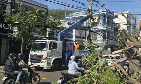 Hơn 1,6 triệu khách hàng miền Trung mất điện do bão Kalmaegi, chạy đua khắc phục