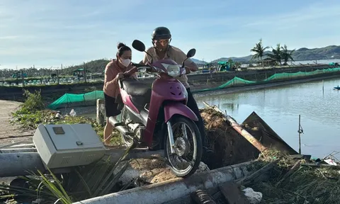 Đắk Lắk: Hàng vạn lồng bè nuôi cá, tôm bị phá hủy hoàn toàn do bão Kalmaegi