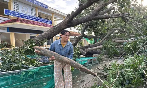 Hỗ trợ khẩn cấp 80 tỉ đồng cho Quảng Ngãi, Gia Lai, Đắk Lắk khắc phục hậu quả bão số 13