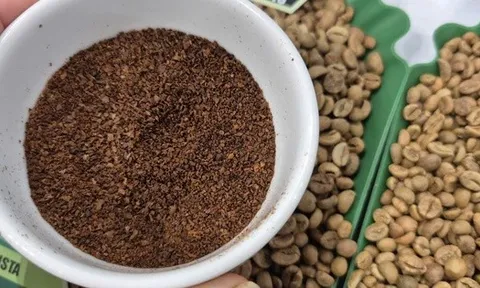 Giá cà phê hôm nay 7-11: Bất ngờ bốc hơi 3 con số