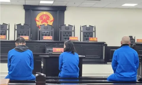 Trả hồ sơ để làm rõ tình tiết mới vụ cán bộ TAND Tối cao lừa đảo 25 tỷ đồng