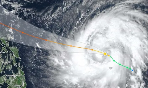 Bay đi giùm chim ơi!