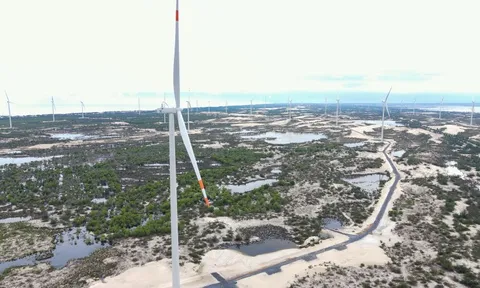 Vingroup quan tâm dự án điện gió 9.100 tỉ đồng tại Quảng Trị