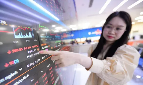 Vĩ mô tốt, lợi nhuận toàn thị trường tăng, vì sao chứng khoán vẫn miệt mài giảm?