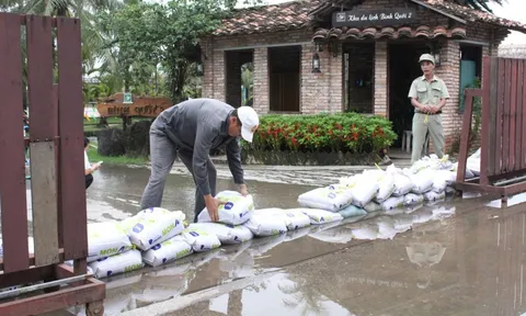 Thời tiết hôm nay 8-11: Thanh Hóa đến Quảng Trị còn mưa to, Nam Bộ triều vẫn cao