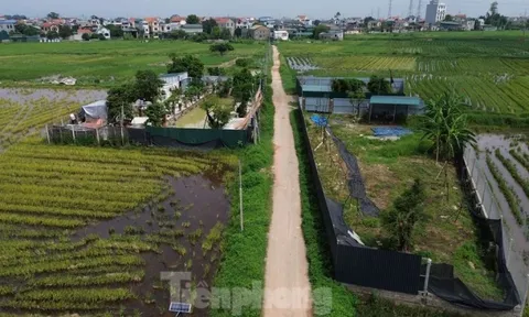 Gỡ vướng mắc chuyển mục đích sử dụng đất ở