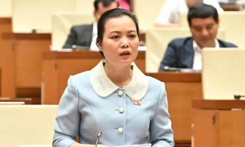 Đề nghị hãng bay nêu rõ lý do chậm, hủy chuyến bay và phải trả lãi nếu quá hạn bồi thường