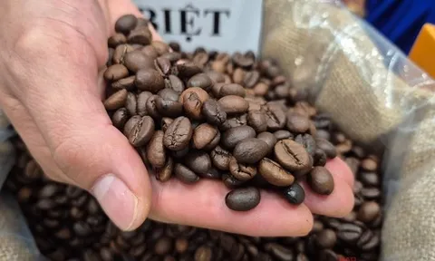 Giá cà phê hôm nay 16-11: Tuần buồn của giá cà phê