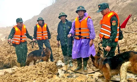 Mưa lớn, tạm dừng tìm kiếm 3 nạn nhân vụ sạt lở kinh hoàng tại Đà Nẵng