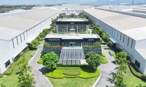 Lộ diện danh sách hơn 100 nhà đầu tư nước ngoài nắm gần 27% vốn Tập đoàn THACO