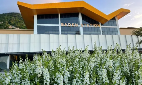 Chính quyền số phục vụ hơn 3,2 triệu dân Tây Ninh