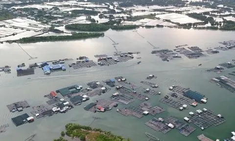 Toàn cảnh hòn đảo rộng gần 1.400 ha được đề xuất làm khu đô thị ở TP.HCM