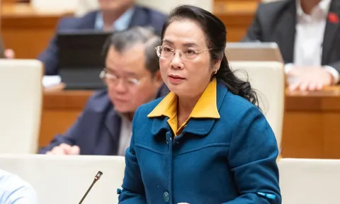 Đại biểu Quốc hội đề xuất miễn giảm thuế thu nhập cá nhân với vợ chồng sinh đủ hai con