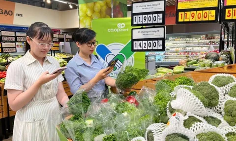 TP.HCM: Triển khai 'Tháng Tick xanh trách nhiệm', siết an toàn thực phẩm cuối năm