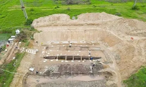 Cải tạo đất để nuôi cá, người dân Việt Nam phát hiện vật dài 17m màu vàng lạ, chuyên gia xác nhận báu vật 2.000 năm tuổi hiếm có trên thế giới