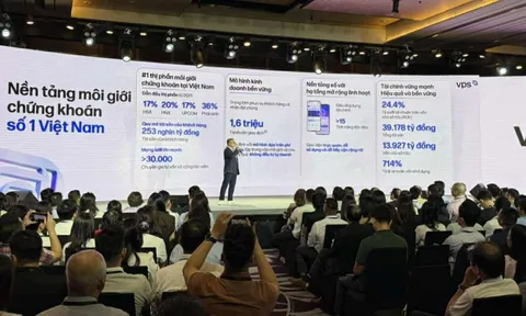 Tổ chức đứng sau Chứng khoán VPS: 10 nhân viên, vốn 44 tỉ đồng, 'ôm' lô cổ phiếu gần 1,4 tỉ USD