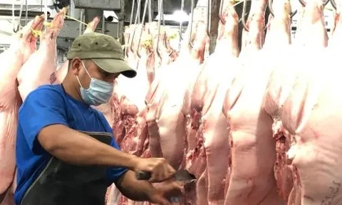 TP.HCM thí điểm sàn giao dịch thịt heo trong tháng 12