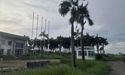 Số phận siêu dự án của đại gia Hứa Thị Phấn