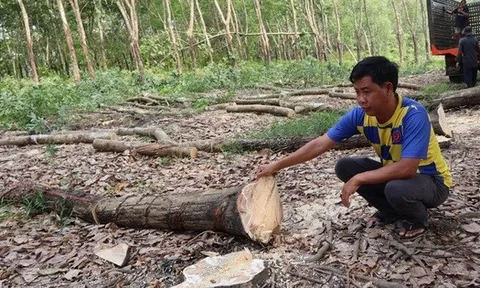 Hơn 300 tỉ đồng giải phóng mặt bằng làm cao tốc TP HCM - Thủ Dầu Một - Chơn Thành qua Đồng Nai