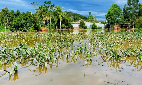 Đồng Nai đề nghị Lâm Đồng phối hợp cung cấp thông tin xả lũ các hồ thủy điện