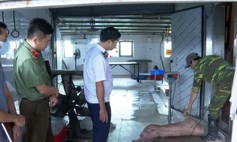 Khởi tố chủ cơ sở chăn nuôi ở Hưng Yên tuồn lợn bệnh ra thị trường
