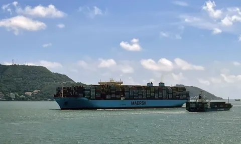 TP.HCM nghiên cứu dự án cảng biển ở khu đất 200.000m² tại phường Phú Mỹ