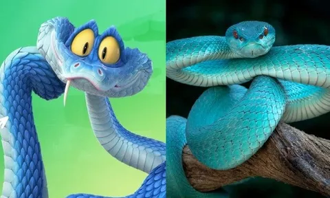 Nhiều người đổ xô đi tìm mua rắn độc sau "cơn sốt" Zootopia 2