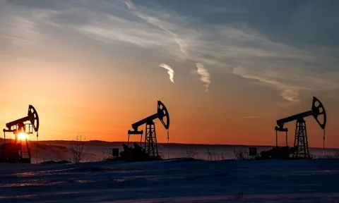 Trừng phạt đâu chả thấy, dầu Nga vẫn ào ào đổ vào quốc gia BRICS này